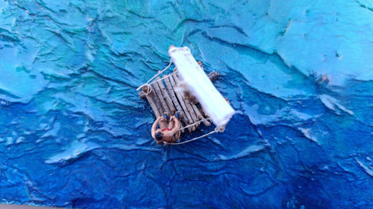 'Shipwreck Survivor'